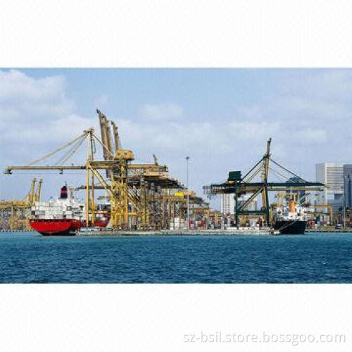 LCL Sea Freight, Professional and Convenient